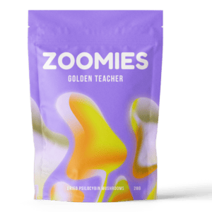 Golden Teacher | Shroom Dudes Canada