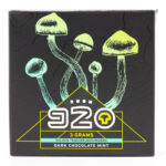 Room 920 - Mushroom Chocolate Bar - Dark Chocolate Mint - 3 grams | Shroom Dudes Canada