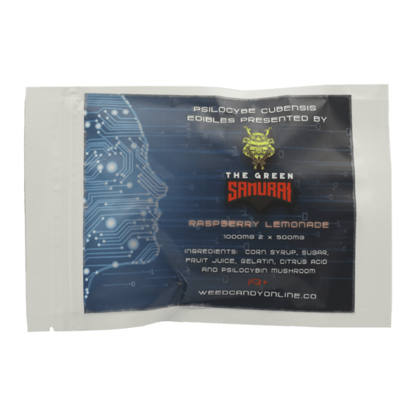 Shroom Gummies – Raspberry Lemonade – 1g | Shroom Dudes Canada