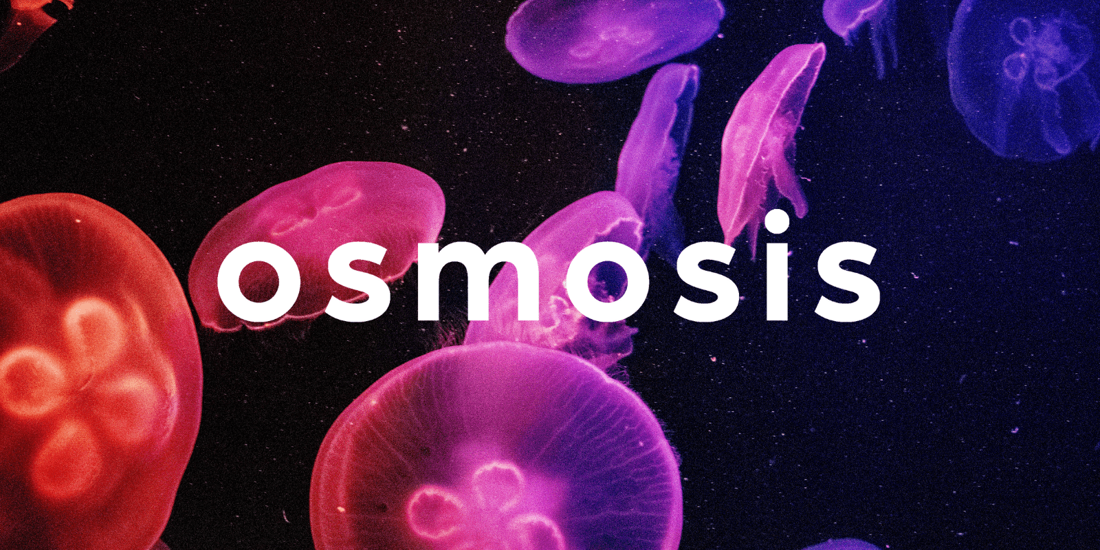Zoomies osmosis banner | Shroom Dudes Canada