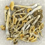 Trinity | Shroom Dudes Canada