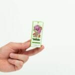 Wonder – Psilocybin Chocolate Bar – Dark Chocolate | Shroom Dudes Canada