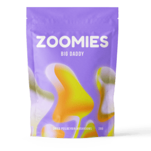 Big Daddy | Shroom Dudes Canada