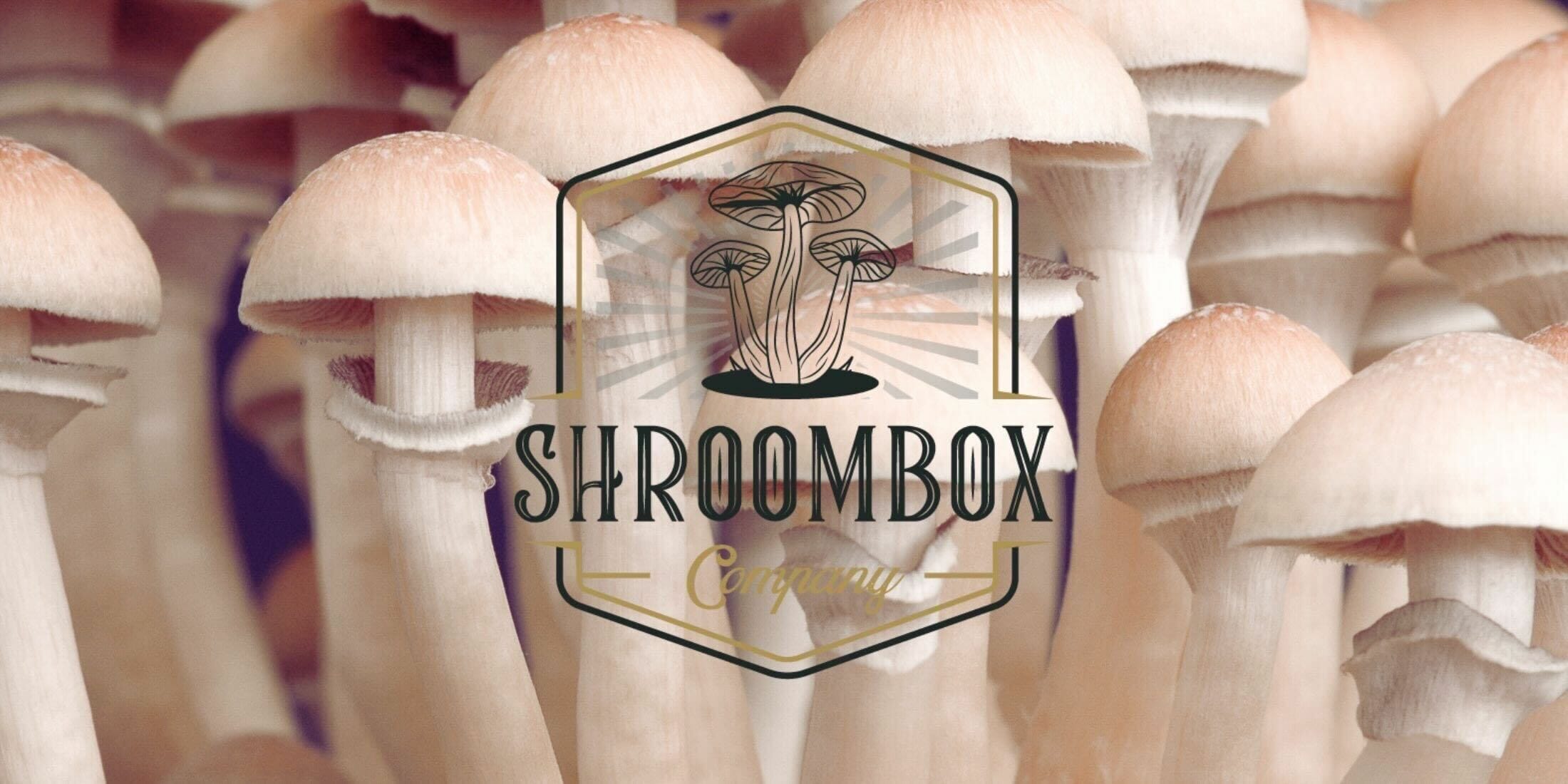 Shroom Box logo | Shroom Dudes Canada