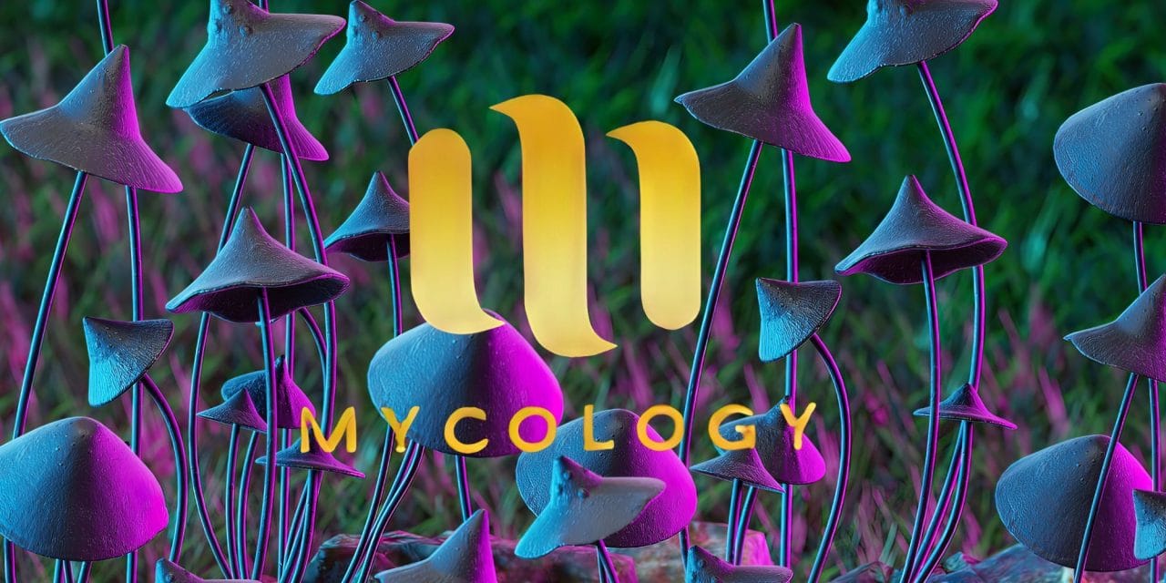 Zoomies Summer 2023 Banner - Mycology | Shroom Dudes Canada
