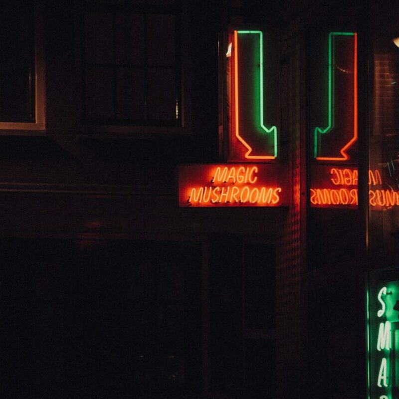 Mushroom Dispensary Vancouver | Shroom Dudes Canada