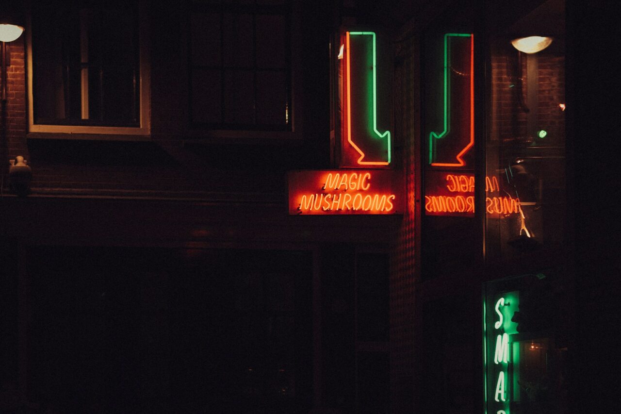 Vancouver’s Mushroom Dispensary – Understanding How Canada is Keeping Pace with the US Mushroom Surge?